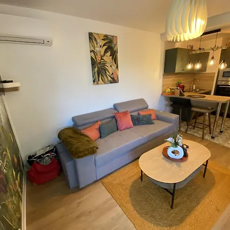 One-bedroom With Jacuzzi Blagnac